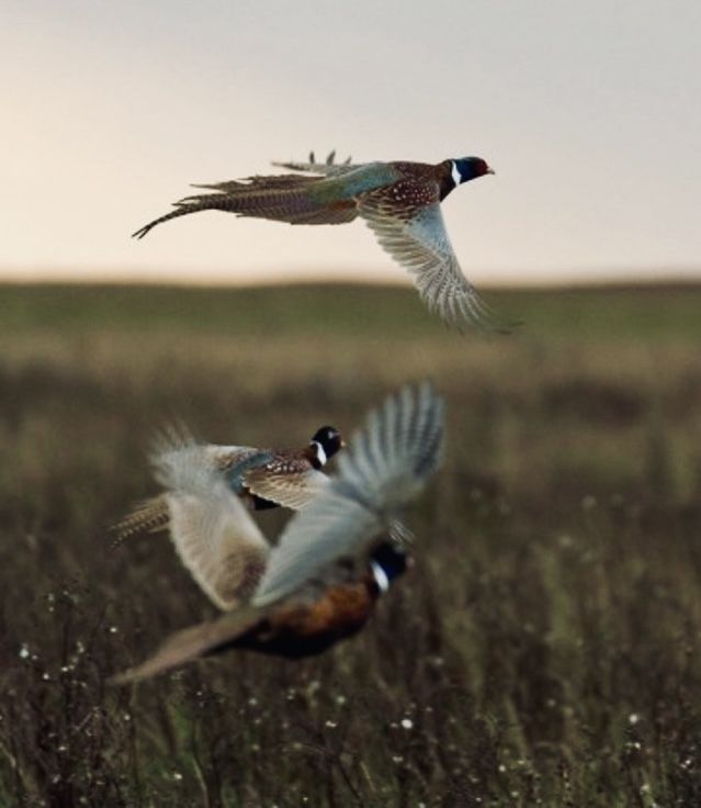 Sporting lifestyle inspiration